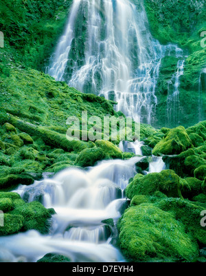 Nahaufnahme von Proxy fällt. Drei Schwestern Wildnis, Oregon Stockfoto