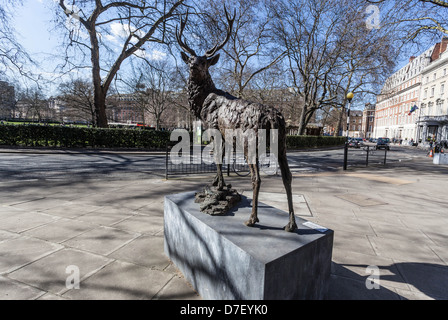 Hirsch Leben Größe Bronze Skulptur (von Hamis Mackie), Grosvenor Square, Mayfair, London, England, UK Stockfoto