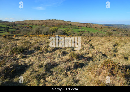 Blick vom Hound Tor in Richtung Hayne hinunter. Dartmoor, England, Vereinigtes Königreich Stockfoto