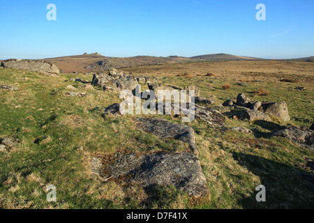 Blick vom Hound Tor über Hayne hinunter in Richtung Haytor, Dartmoor, England, UK Stockfoto