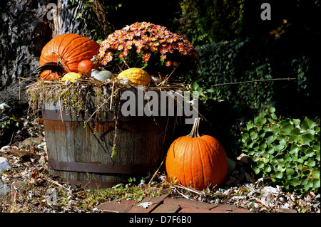 Herbstblumen und Kürbisse im alten Fass Shepherdstown Jefferson County West Virginia, Kürbisse, Herbstblumen, Wagen, Stockfoto