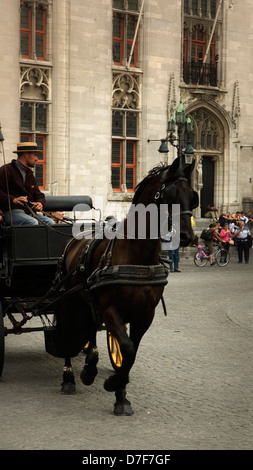 Pferd und Wagen für Touristen in die historische Stätte von Brügge Westflandern Stockfoto