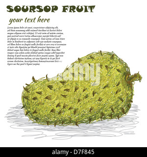 Closeup Abbildung einer frischen Soursop Frucht in weißen Hintergrund isoliert. Stockfoto