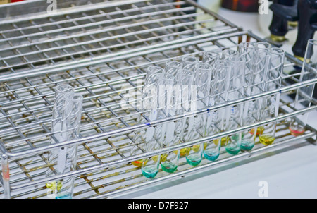 Pipette Flüssigkeit hinzufügen eines mehrere Reagenzgläser Stockfoto