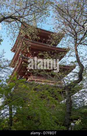 Kan'ei-Ji (Kaneiji) ist original fünfgeschossige Pagode zwischen Bäumen im Ueno-Park, Tokio, Japan. Stockfoto