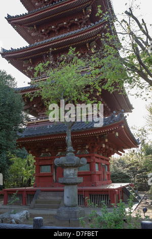 Kan'ei-Ji (Kaneiji) ist original fünfgeschossige Pagode mit Garten im Ueno Park, Tokio, Japan. Stockfoto