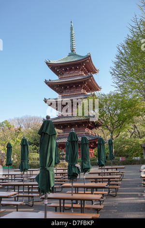 Kan'ei-Ji (Kaneiji) ist original fünfgeschossige Pagode in Ueno-Park, Tokio, Japan. Geschlossener Garten Stockfoto