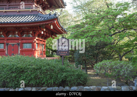 Kan'ei-Ji (Kaneiji) ist original fünfgeschossige Pagode mit grünen Garten in Ueno-Park, Tokio, Japan. Stockfoto