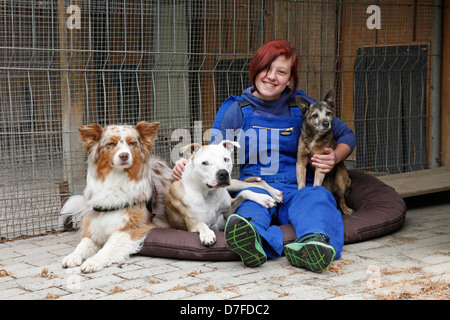 Hunde in Pfund Stockfoto