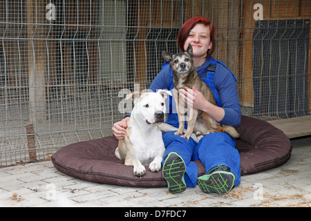 Hunde in Pfund Stockfoto