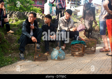 Sapa Vietnam - Männern aus ethnischen Minderheiten black Hmong in traditioneller Kleidung, die Vögel zu verkaufen Stockfoto