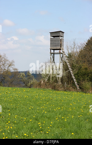 Jagd-Turm zwischen Wiese und Wald, in Belgien Stockfoto