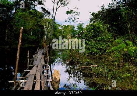 ein Mitglied des Stammes Yagua indigenen überquert eine Brücke in den Amazonas-Regenwald, Peru Stockfoto