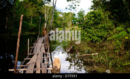 ein Mitglied des Stammes Yagua indigenen überquert eine Brücke in den Amazonas-Regenwald, Peru Stockfoto