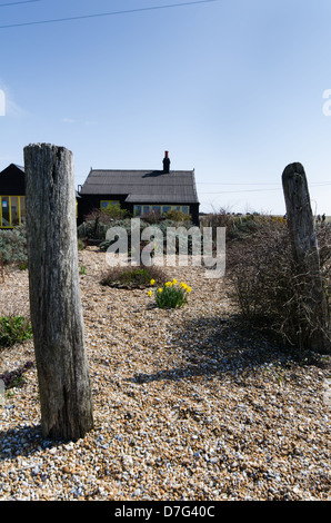 Coastal Garten bei Dungeness in Kent Stockfoto