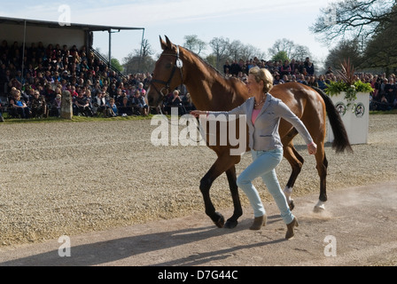 Badminton Horse Trials, Mary King mit kaiserlichem Kavalier läuft mit Pferd, damit Tierärzte sehen können, dass das Pferd fit und gut ist. Badminton Estate, Gloucestershire 2013 England. Vets Endinspektion. 4. Mai 2010, UK HOMER SYKES Stockfoto