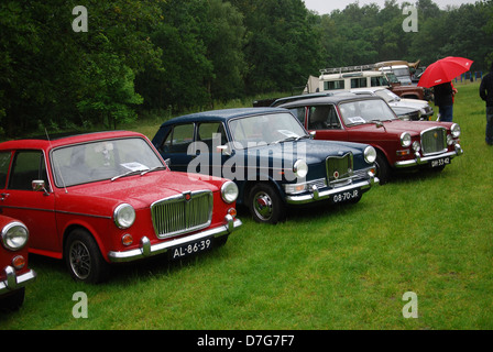 Line-up der klassischen BMC Autos auf niederländischen Classic Car show Stockfoto