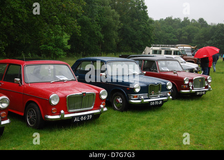 Line-up der klassischen BMC Autos auf niederländischen Classic Car show Stockfoto