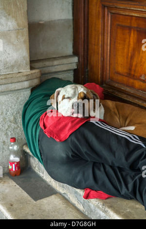 Obdachlosen schlafen mit seinem Hund in einem Türrahmen. Obdachlose britische Obdachlose. Obdachlosen UK. Obdachlosen uk männlichen schlafen Stockfoto