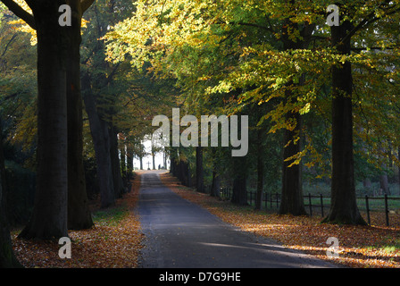 Landstraße in der Nähe von Hillenraad Burg Roermond Limburg Niederlande Stockfoto