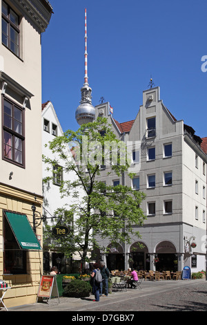 Fernsehturm Berlin Mitte Nikolai Viertel Stockfoto