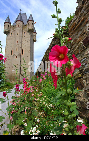 Deutschland, Rheinland-Pfalz, Nassau Lahn, Burg Nassau Stockfoto