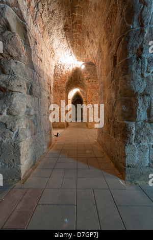 Die gewölbten Hallen Acre, einer Stadt der Kreuzritter in Israel Stockfoto