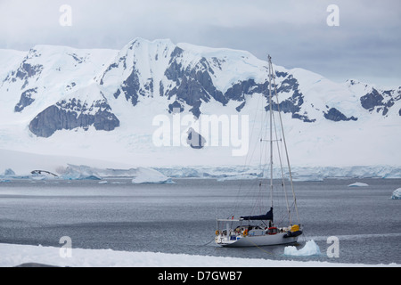 Ein Segelboot auf Cuverville Island, Antarktis. Stockfoto