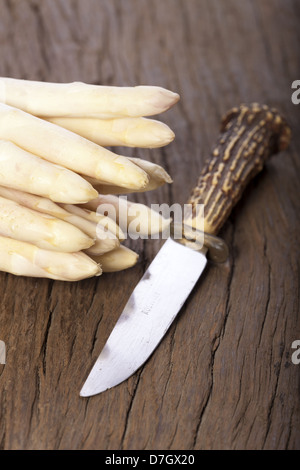 Weißer Spargel wird mit den Spitzen nach vorn auf einem Holzbrett neben einem alten Messer mit Horn Griff Stockfoto