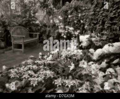 Eine Vielzahl von Blumen und Sitzbank in WW Seymour Botanical Conservatory. Tacoma, Washington Stockfoto