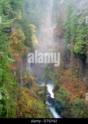 Saisonalen Wasserfälle (unbenannt) in Eagle Creek. Columbia River Gorge National Scenic Bereich, Oregon Stockfoto