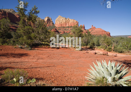 Sedona Bereich Landschaft mit roten Sandsteinfelsen und Kakteen Stockfoto