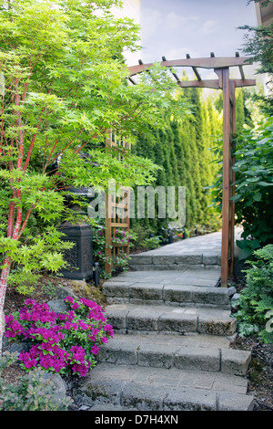 Rosa Azaleen blühen im Frühjahr unter Korallen Rinde japanischer Ahornbaum Garten Weg Stockfoto