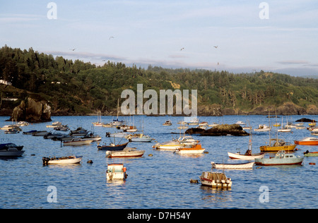 Sportboote und Angelboote/Fischerboote in sicheren Hafen in Trinidad Bay in Kalifornien Humbolt Stockfoto