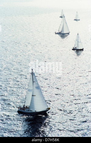 Segelboote Luftaufnahme, Columbus Day Regatta, Miami Stockfoto