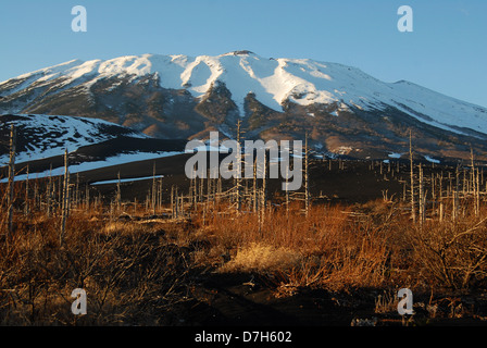 Neuschnee auf Tiatia Vulkan an der Pazifik-Küste auf der Insel Kunaschir. Süd-Kurilen, Russland Stockfoto