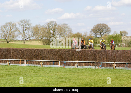 Rennen Pferde Equus Ferus Caballus an einem Hindernislauf Horse-event Stockfoto