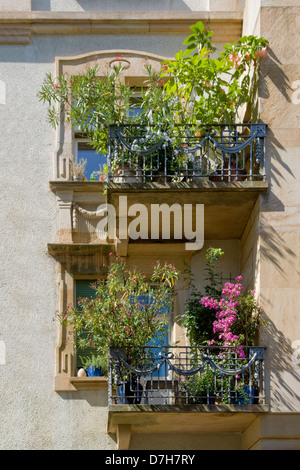 beleuchtete Sonnenbalkon mit vielen Pflanzen in Freiburg Im Breisgau, eine Stadt in Baden-Württemberg (Deutschland) Stockfoto