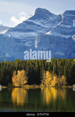 leuchtend gelbe Aspen Bäume spiegeln sich in Johnson Lake im Banff Nationalpark, Alberta, Kanada. Stockfoto