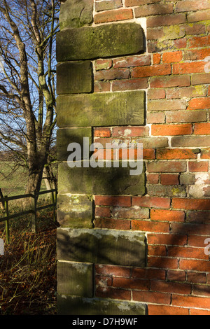 Detail der Ecke Sandstein Quoin Freimaurerei in sonnendurchfluteten aus rotem Backstein Mauer, Ticknall, Derbyshire, England, UK Stockfoto