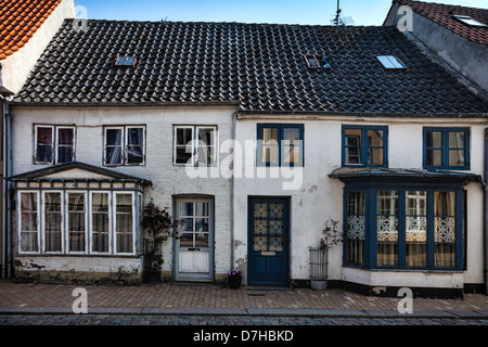 Alte Tür in der mittelalterlichen Stadt von Tonder, Dänemark mit Fransen Stockfoto