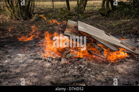 Holz auf einem Garten Feuer verbrannt Stockfoto