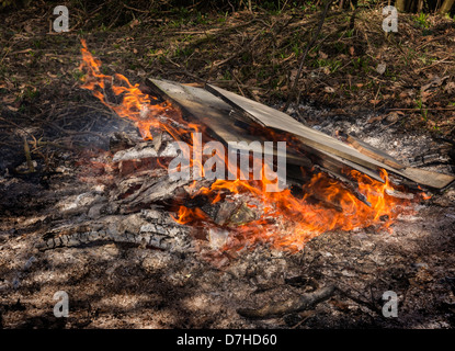 Holz auf einem Garten Feuer verbrannt Stockfoto