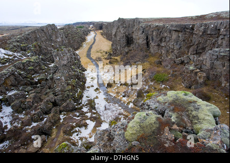 Weg durch das Pingvellir Tal in Island. Das Tal liegt zwischen der nordamerikanischen und mittleren europäischen tektonische Platten. Stockfoto