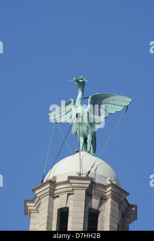 Nahaufnahme von der Leber Vogel auf das Royal Liver Building in der Stadt von Liverpool Stockfoto