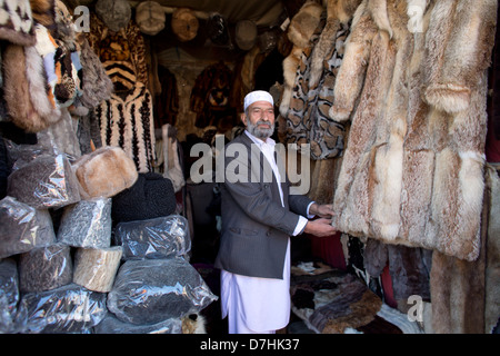 Fell-Shop in Kabul, Afghanistan Stockfoto