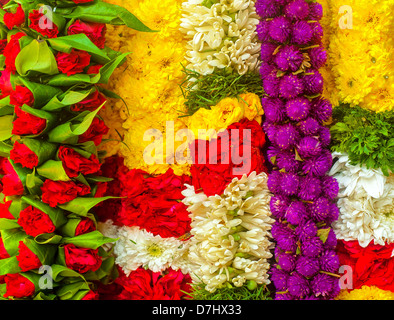 Girlande aus mehreren Farben der Blume Stockfoto