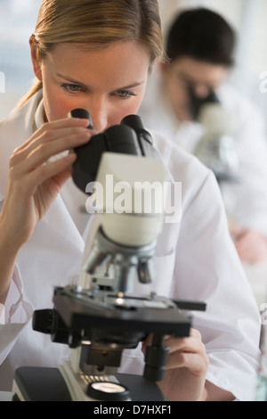 Wissenschaftler forschen an Mikroskopen Stockfoto