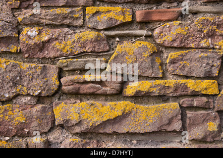 Steinmauer in halb schließen sich Mörtelfugen, texturiert, Naturstein, Mauerwerk, sonnendurchfluteten, Flechten Stockfoto