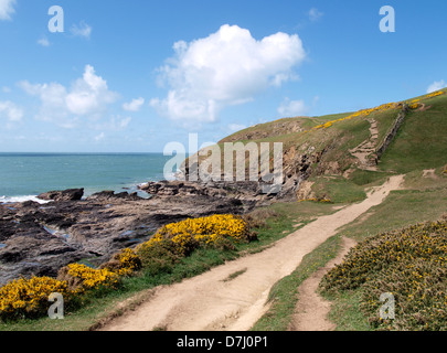 South West Coast Path, Polzeath, Cornwall, UK, 2013 Stockfoto